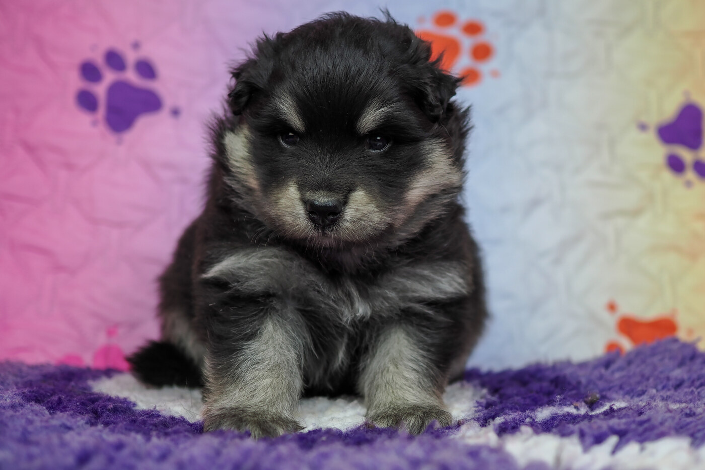 4 weeks