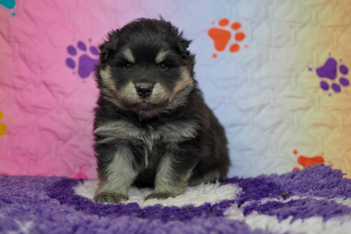 4 weeks