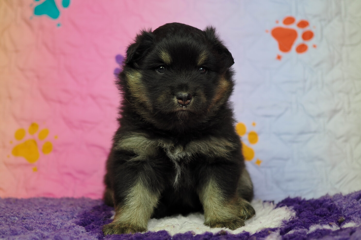 4 weeks