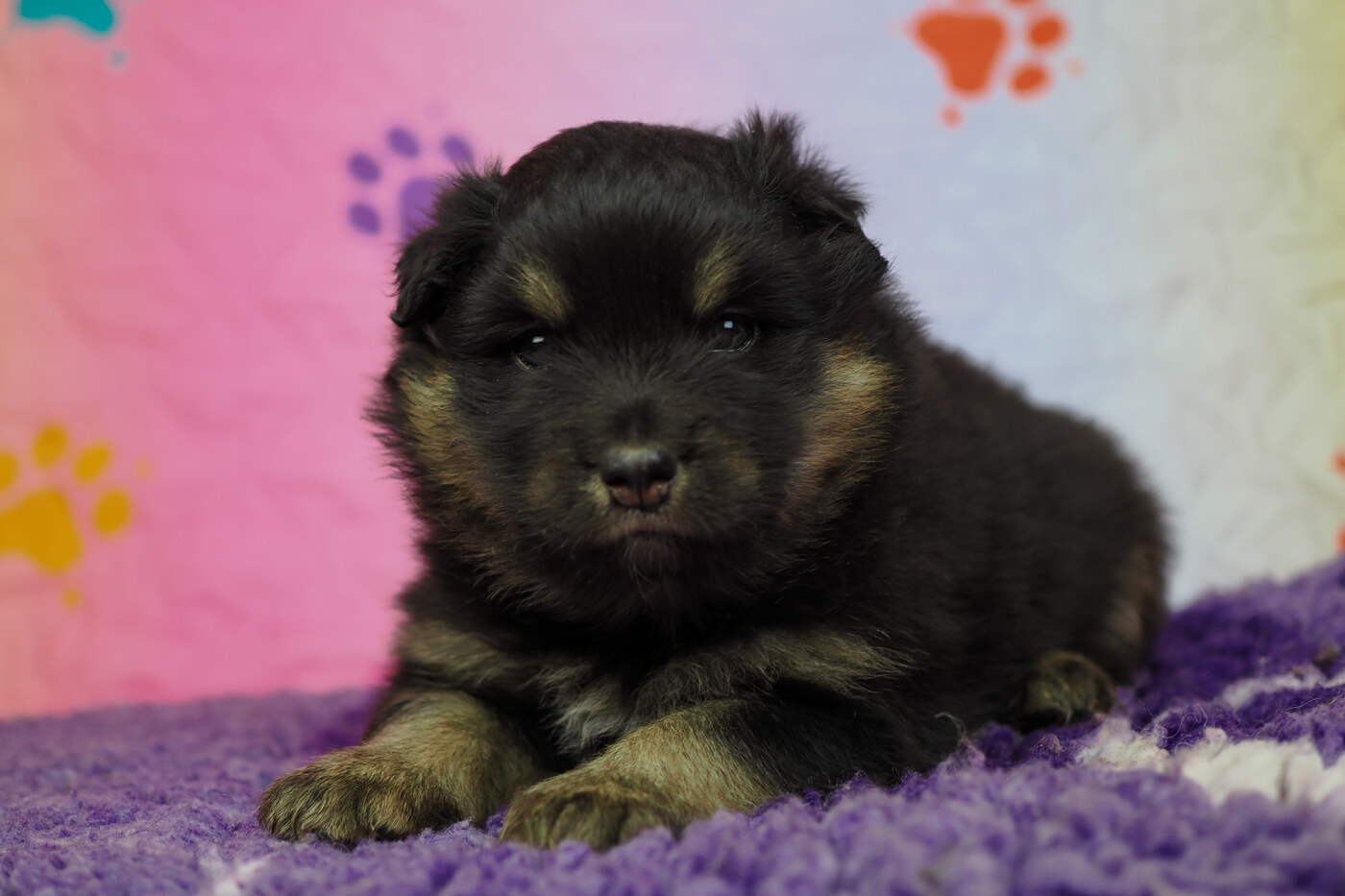 4 weeks