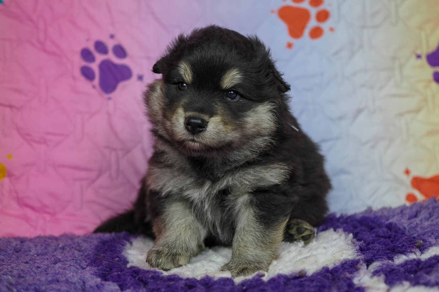 4 weeks