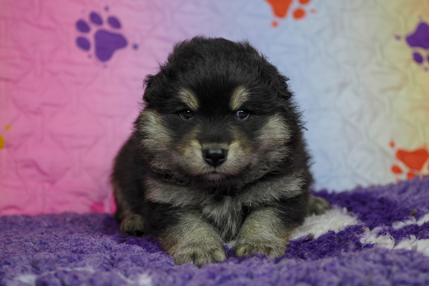 4 weeks