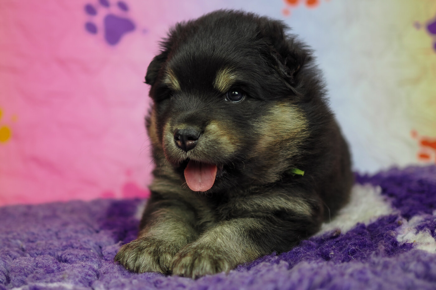 4 weeks