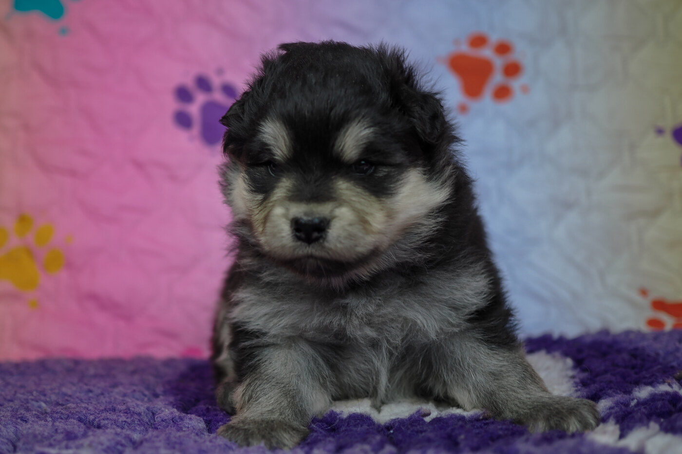 4 weeks