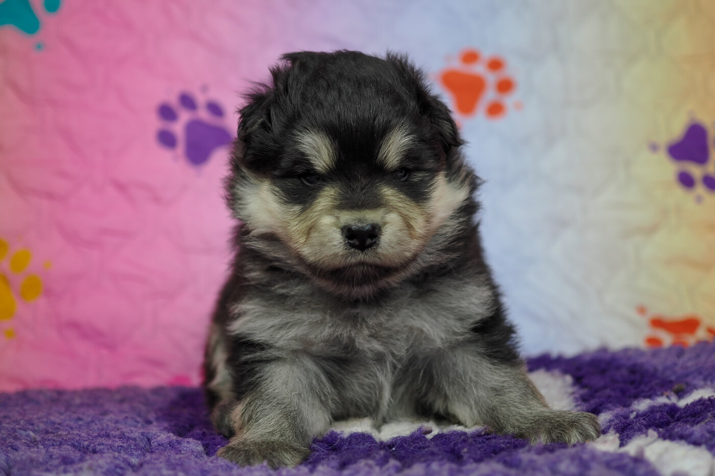 4 weeks