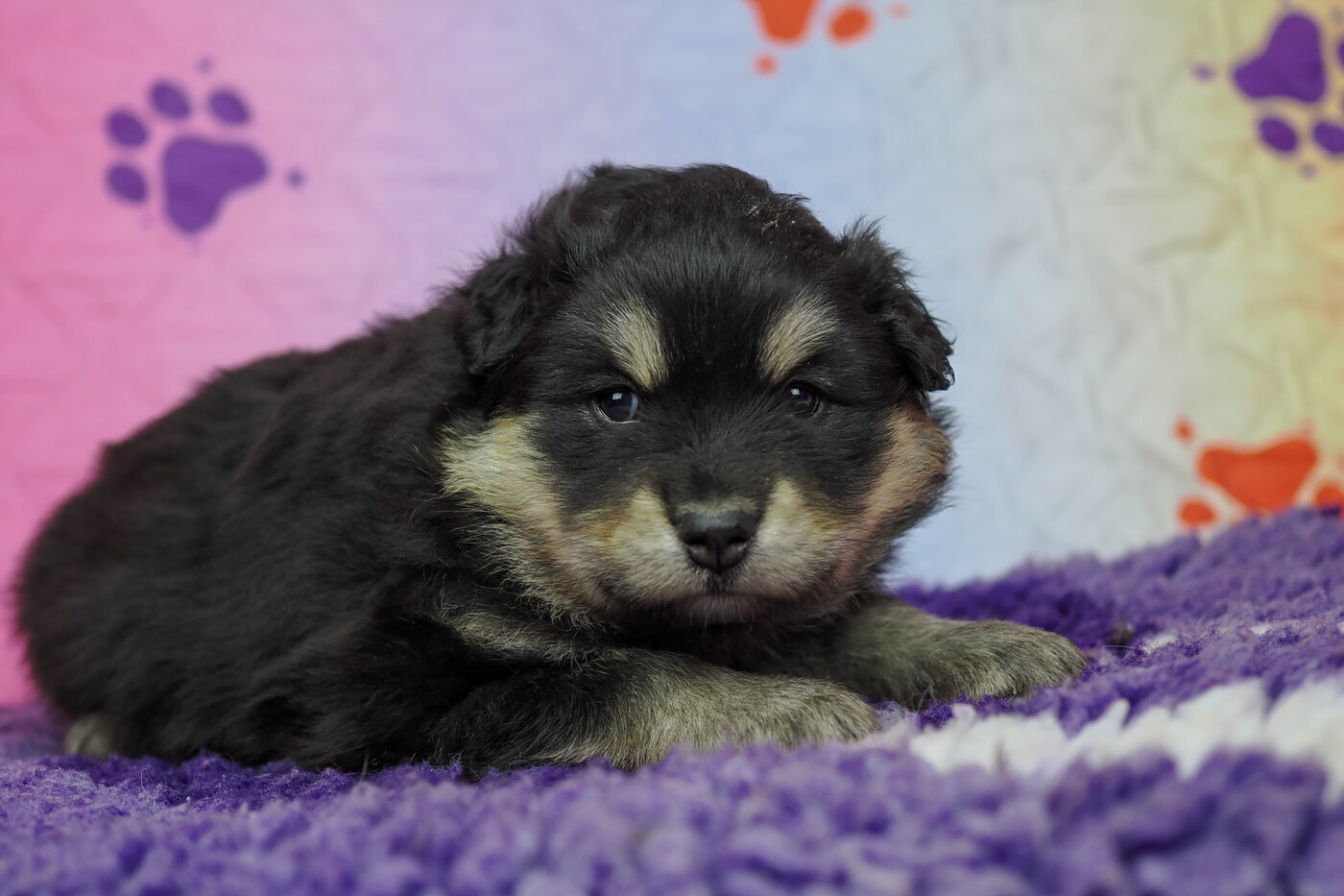 4 weeks