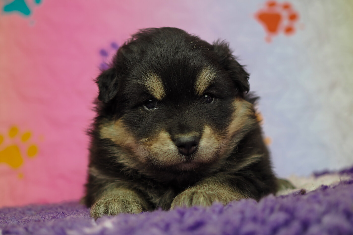4 weeks