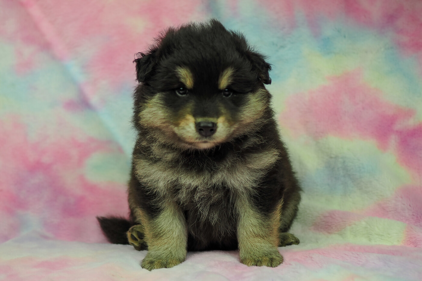 5 weeks