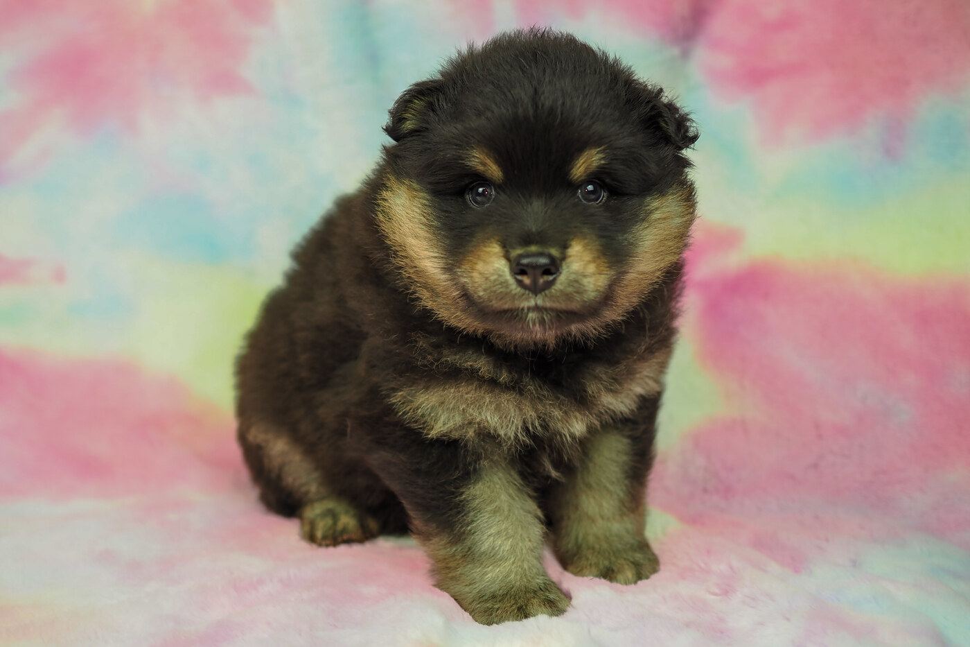 5 weeks