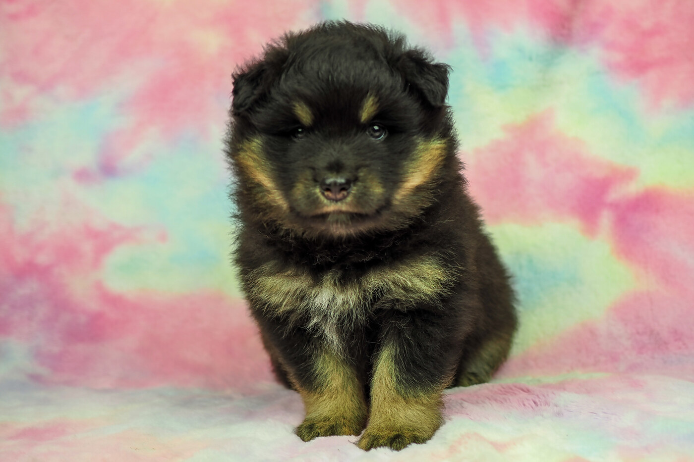 5 weeks
