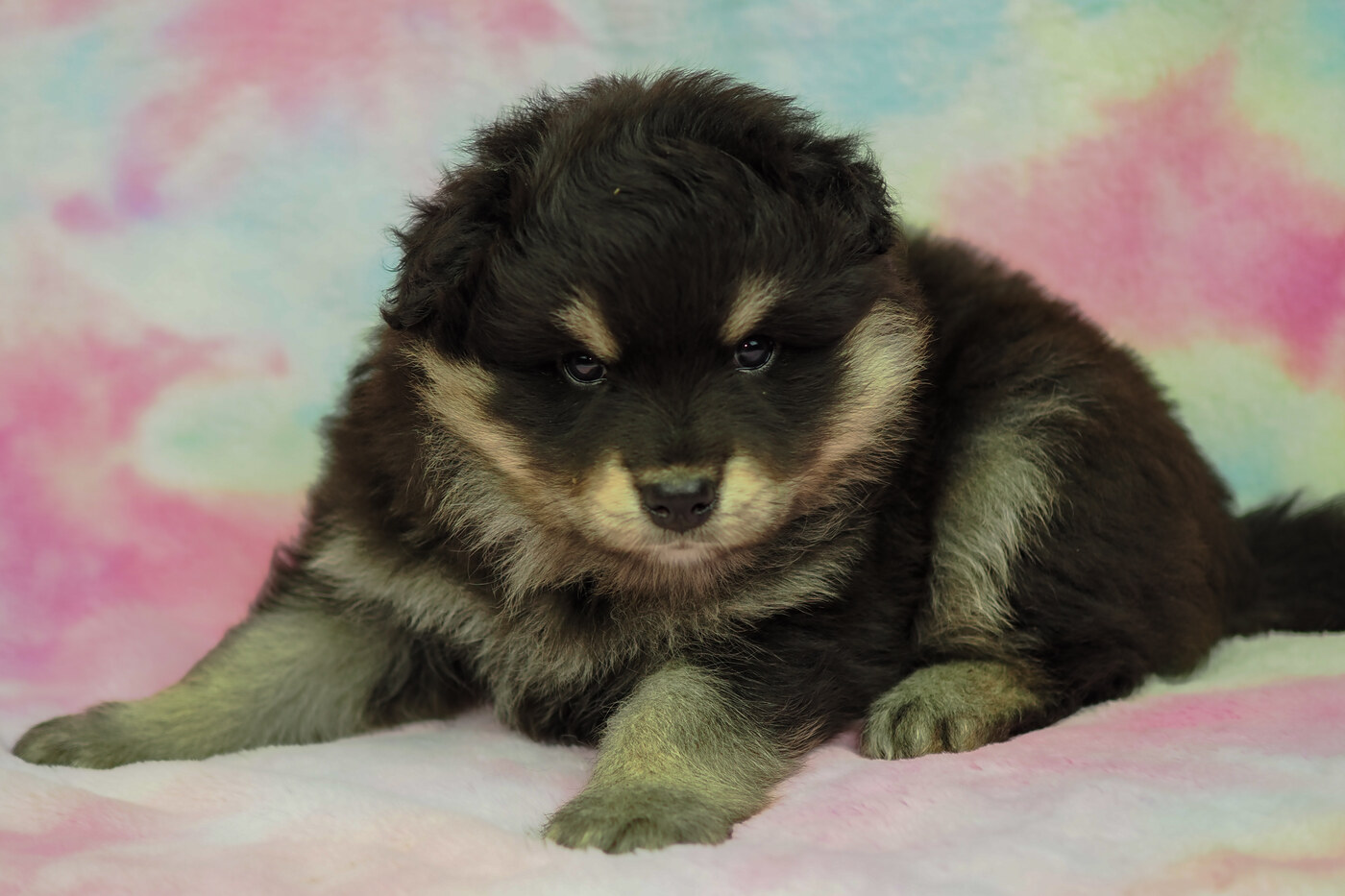 5 weeks