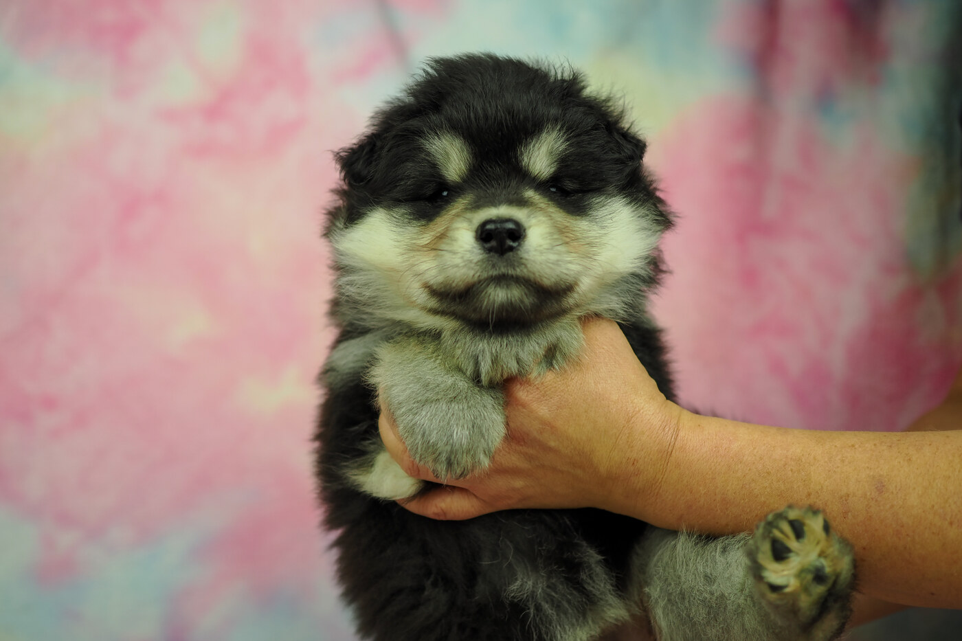 5 weeks