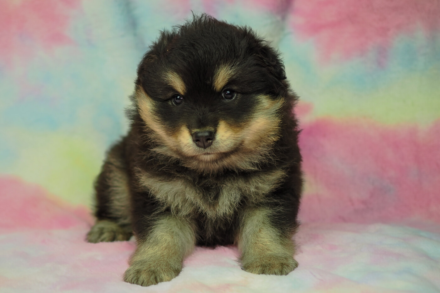 5 weeks