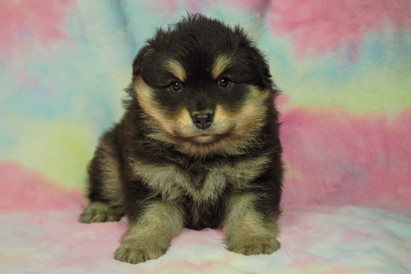 5 weeks