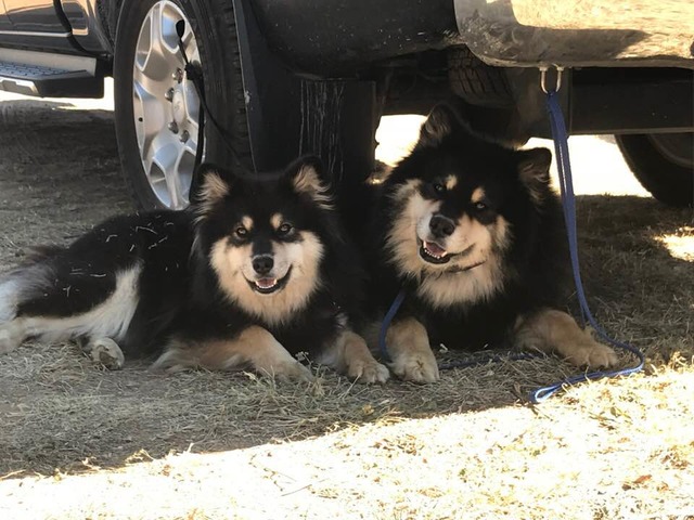 Tawnee and her dad, Lumi