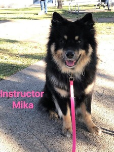 Mika (CALEEBRA HEART OF WINTER)